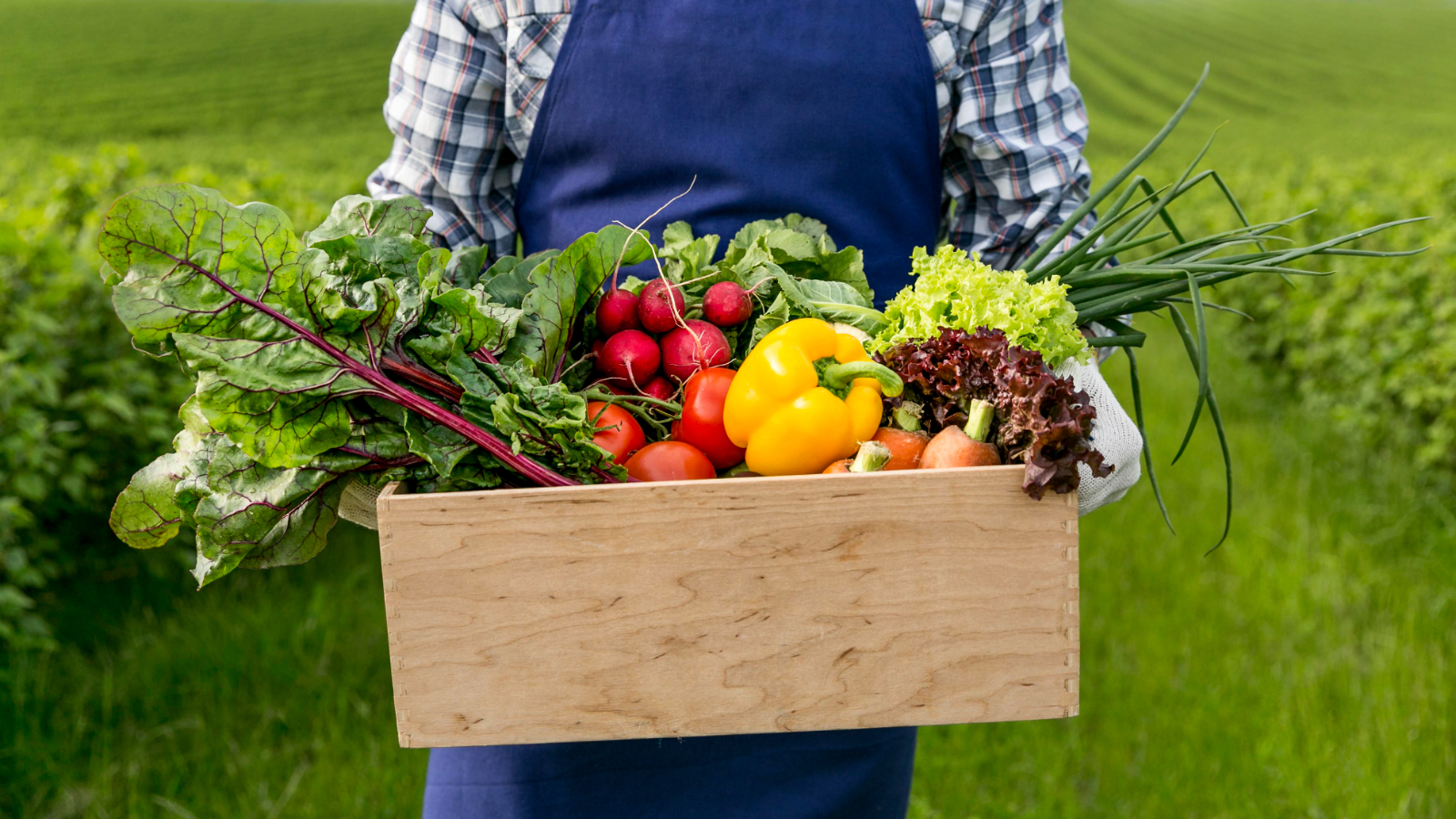 Why should I garden organically? Garden Machinery Suppliers Northampton and Northamptonshire